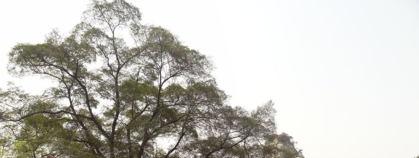 不朽的壮族山歌