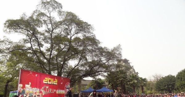 不朽的壮族山歌